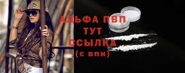 молекула духа Кинешма