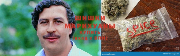 молекула духа Кинешма