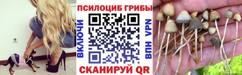 Псилоцибиновые грибы Magic Shrooms  Купить закладки  Ухта 